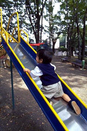 2025年版：石垣島レンタカーと空港近くのサービス徹底比較ガイド