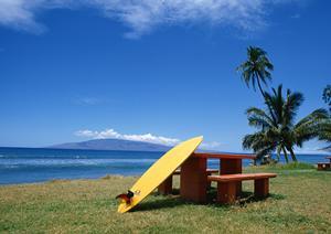 家族で楽しむ石垣島アクティビティ完全ガイド！自然体験から思い出づくりまで魅力満載のプラン紹介